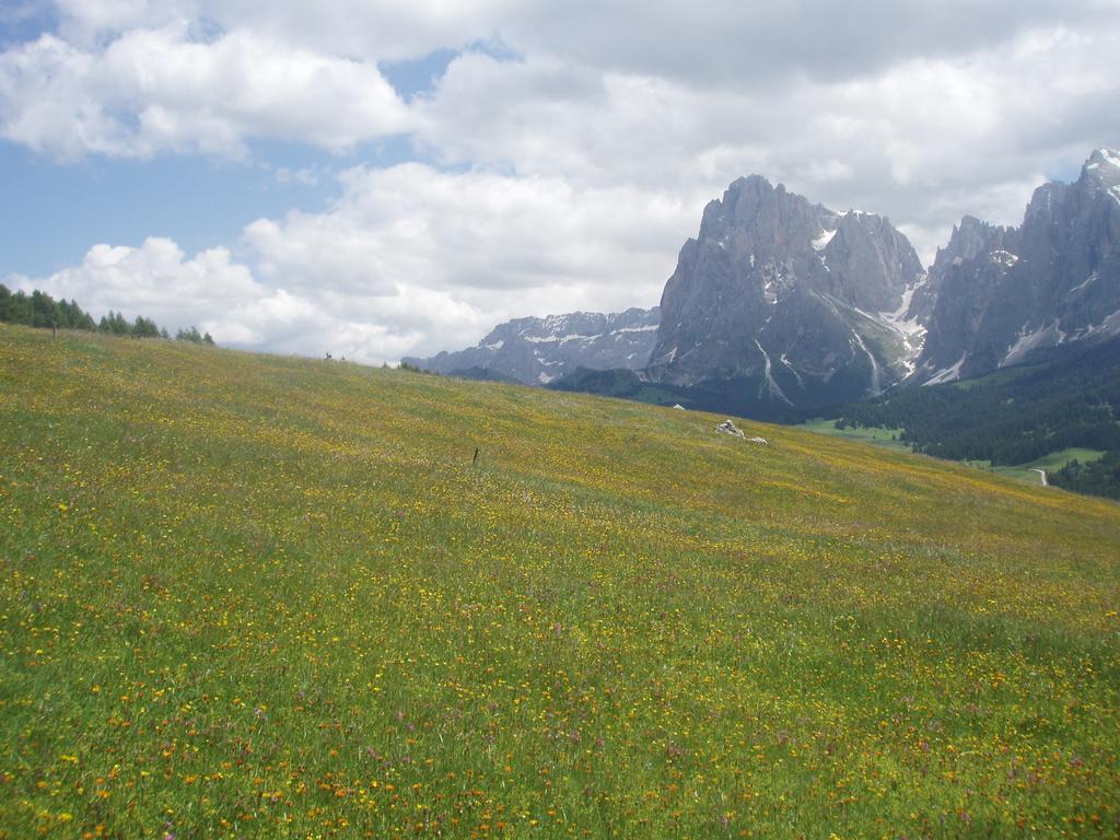 Garni La Majon Hotel Selva di Val Gardena Luaran gambar