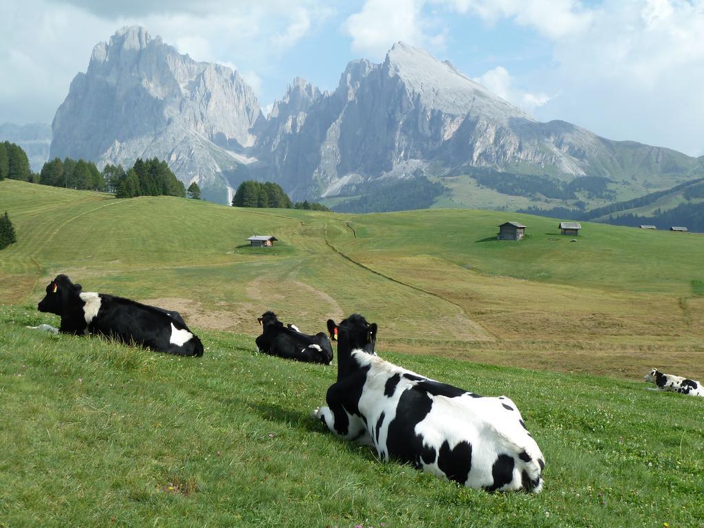 Garni La Majon Hotel Selva di Val Gardena Luaran gambar